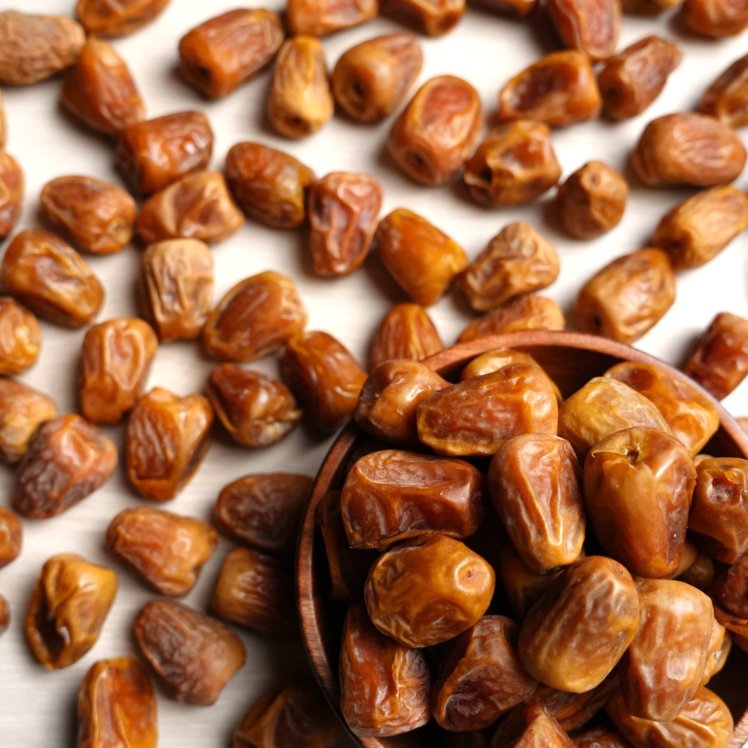 product_gallery2-887-20260208041041