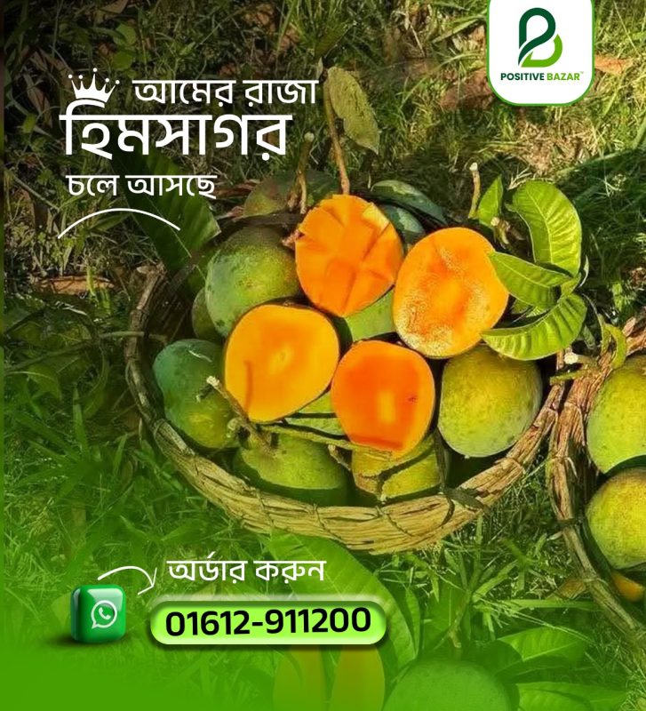 WhatsApp Image 2025-05-17 at 15.11.09_38bd751f